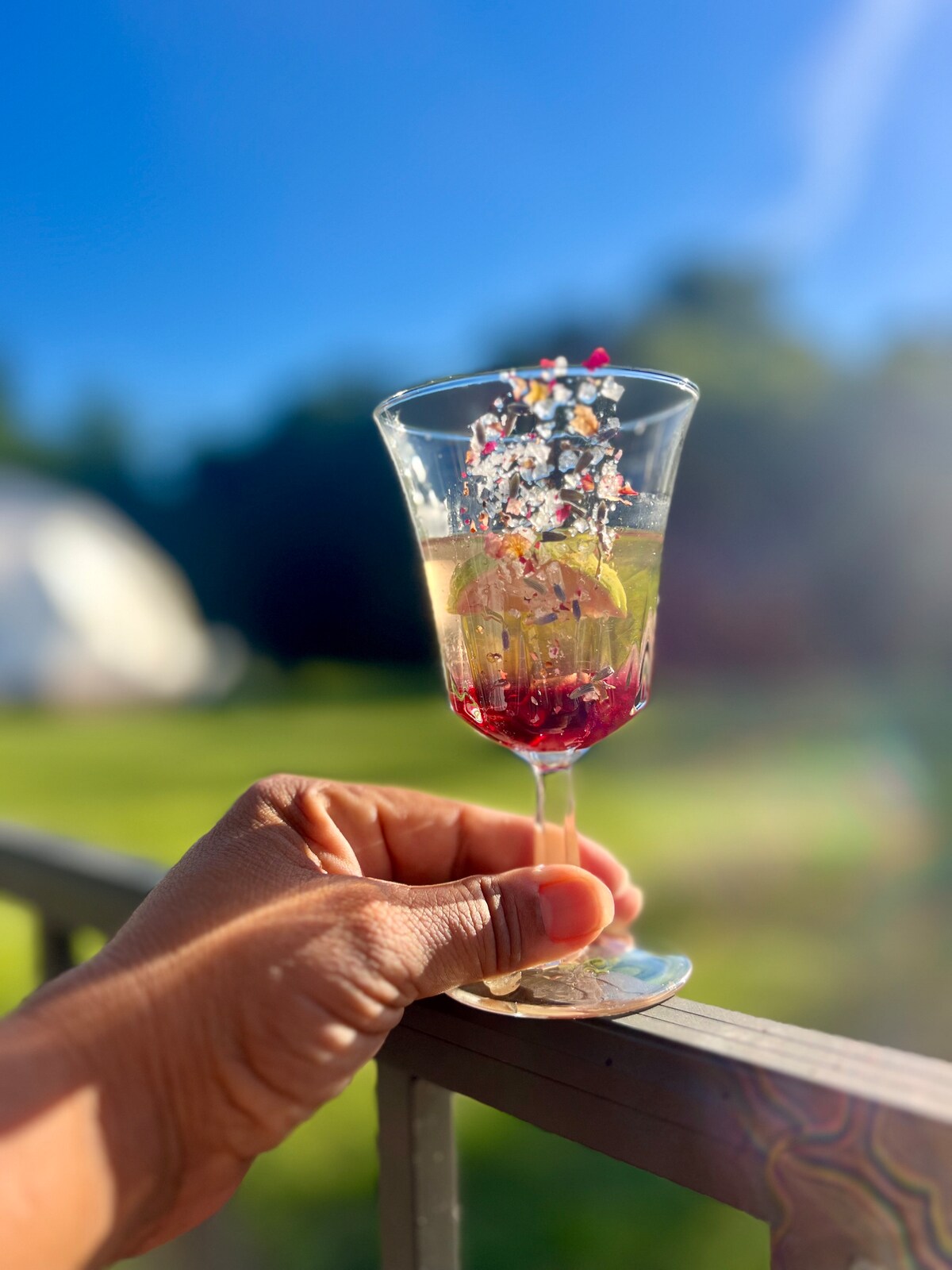 Botanical cocktail held in sunlight at Thee Wild Lux — estate gardens visible in background